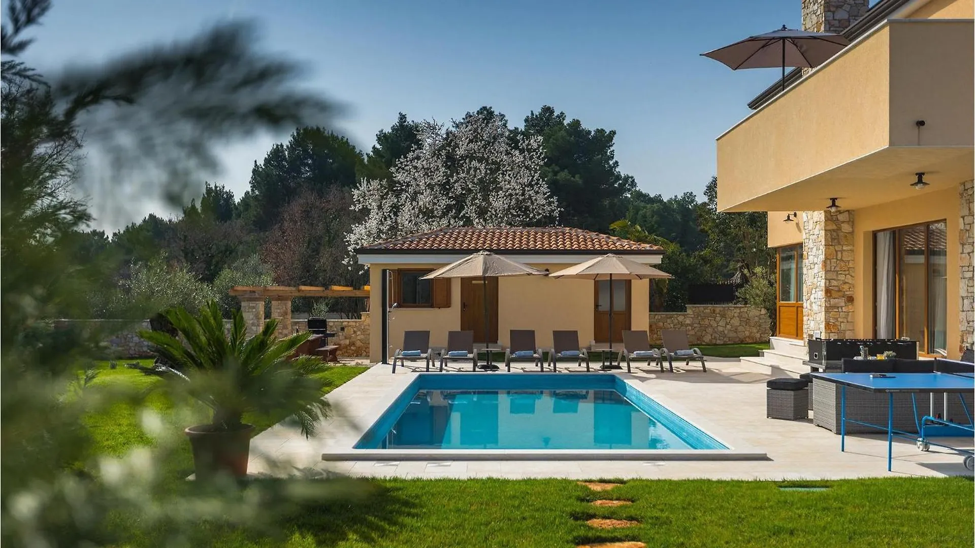 Villa Vatovac Tar-Vabriga Croatia
